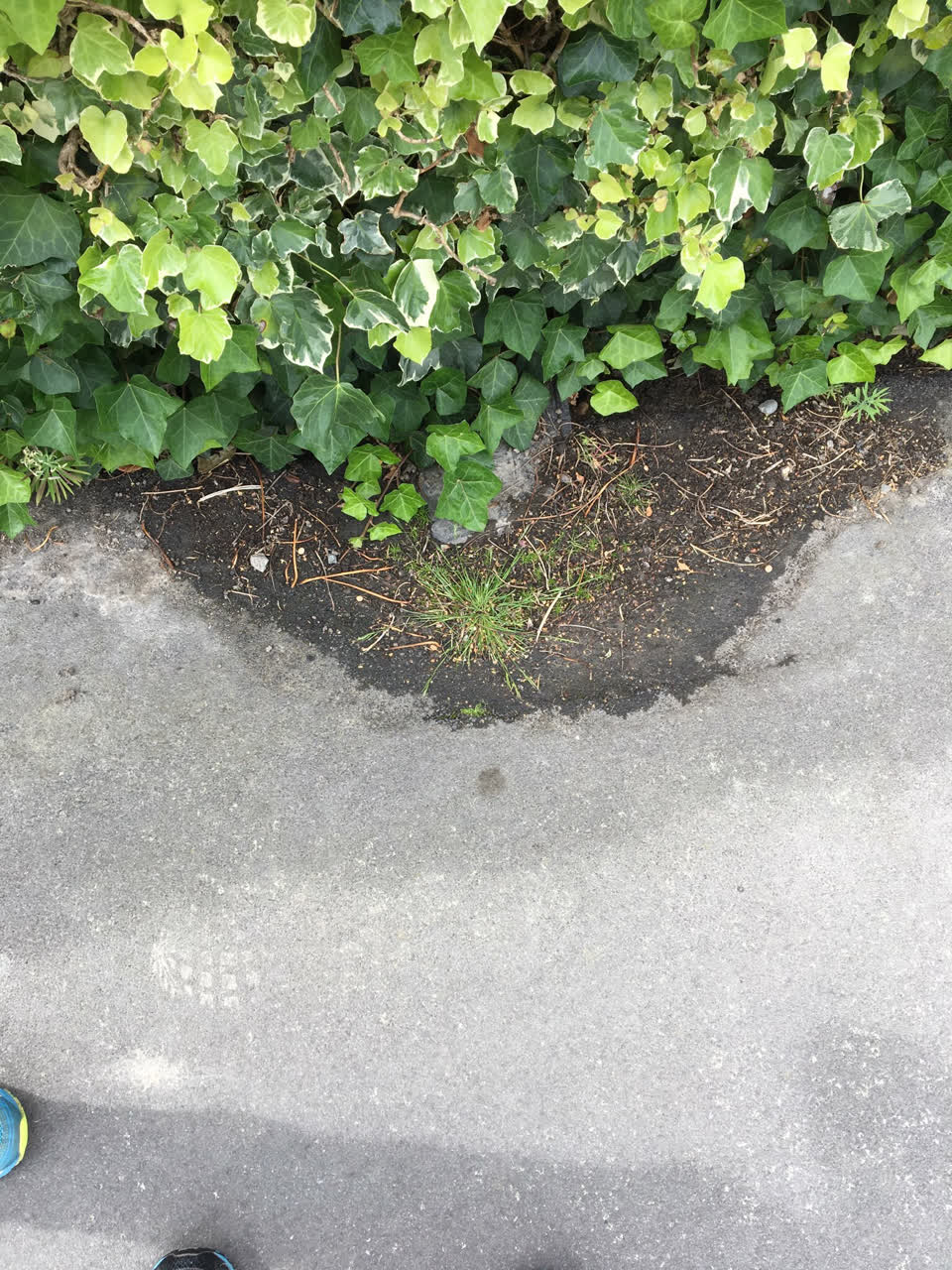 The photograph attached to this water leak report