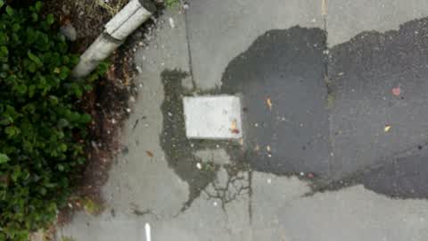Water Leak, a report photo