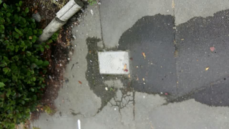 The photograph attached to this water leak report