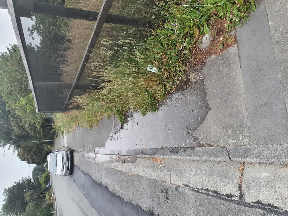 The photograph attached to this water leak report