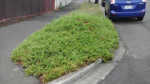 Roading/Streets — a report photo