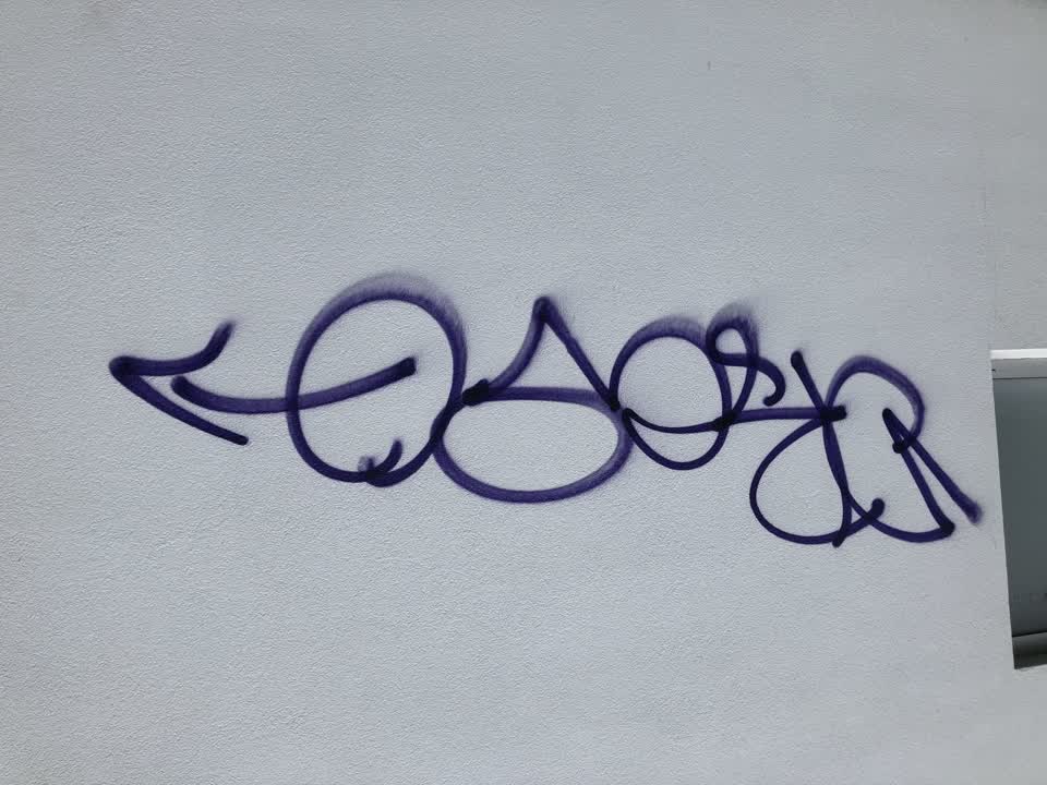The photograph attached to this graffiti report