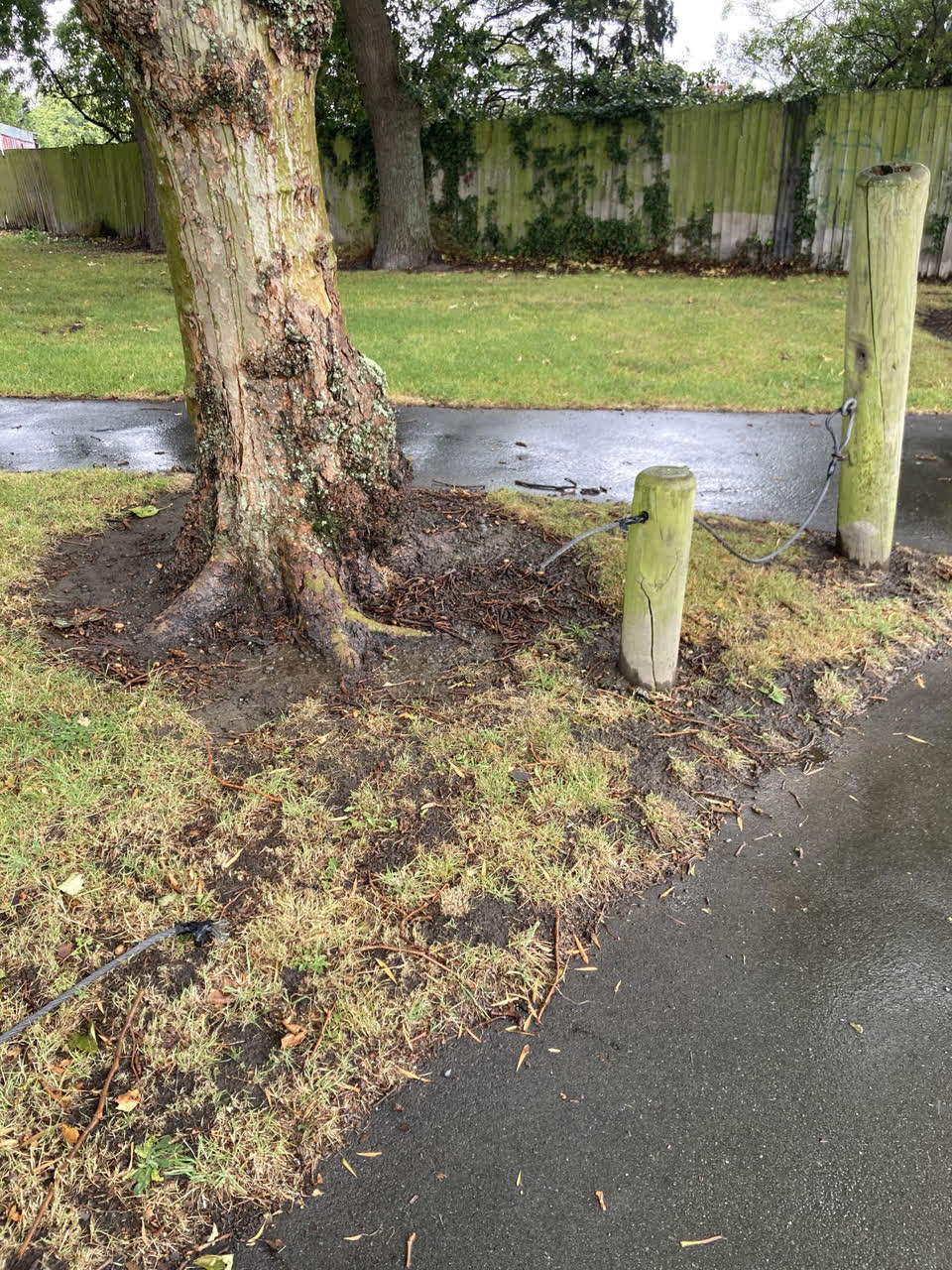 The photograph attached to this parks report