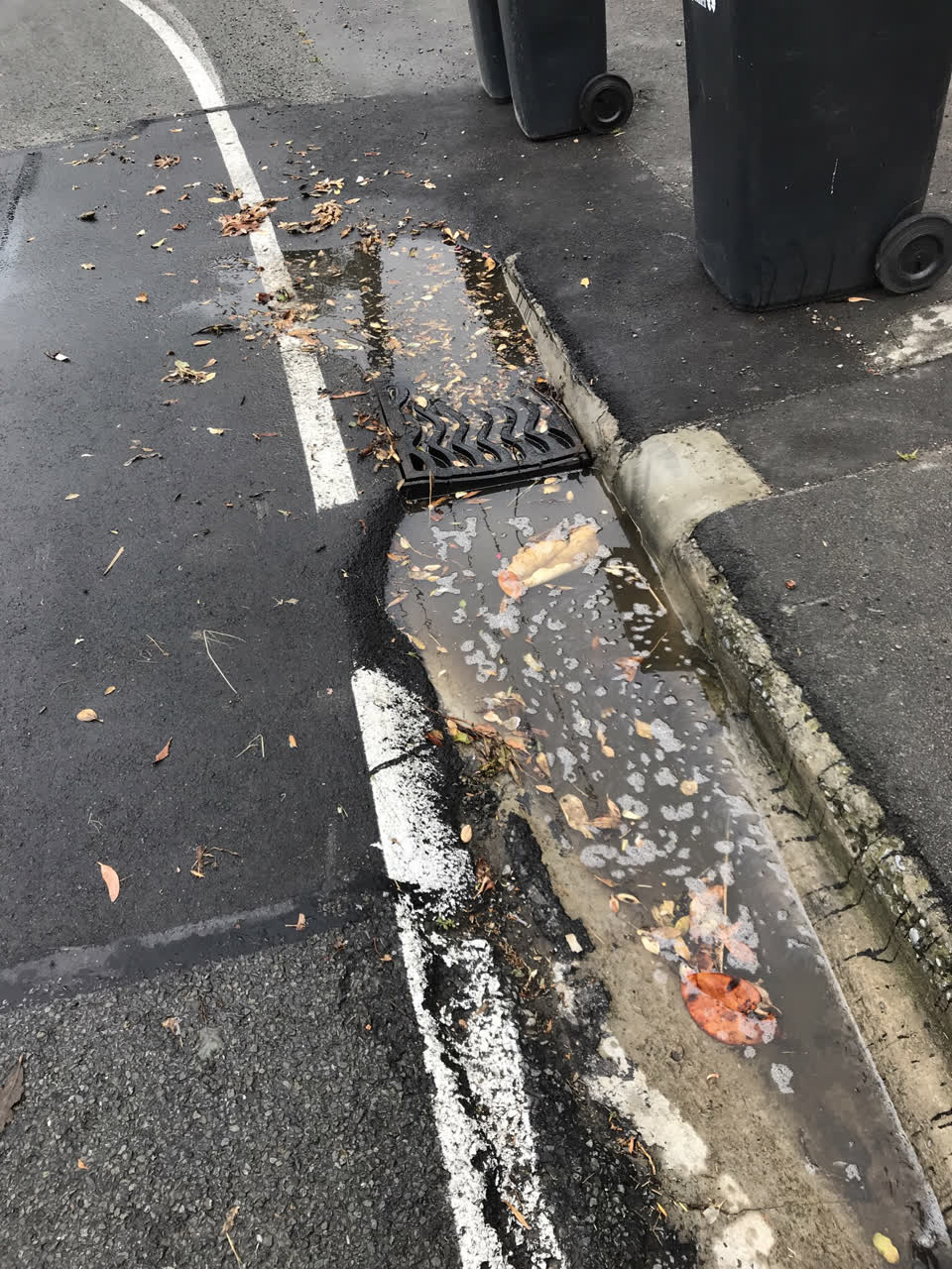 The photograph attached to this roading/streets report
