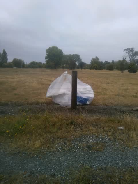 Rubbish/Recycling, a report photo