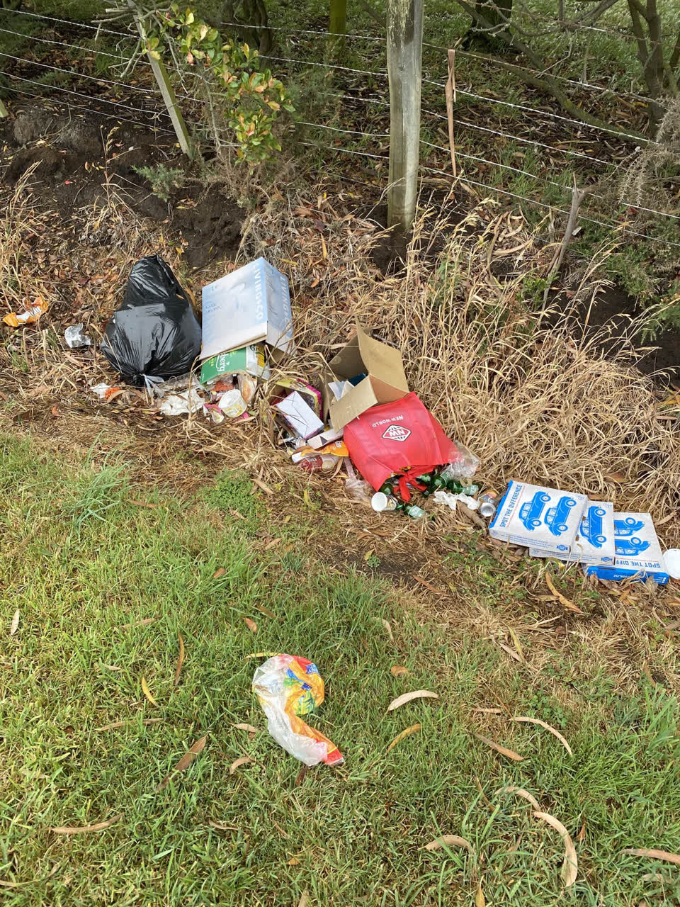 The photograph attached to this rubbish/recycling report