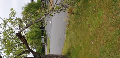 Roading/Streets, a report photo