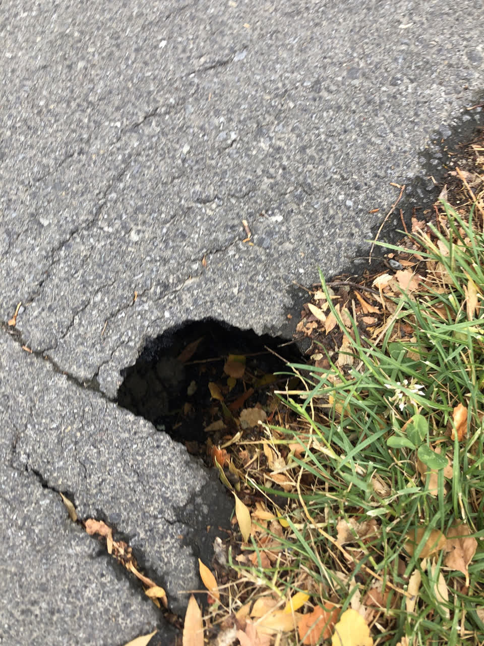 The photograph attached to this street light outage report
