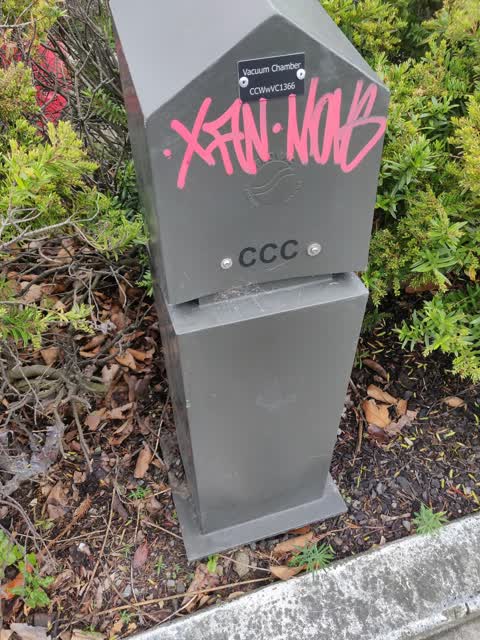 Graffiti — a report photo