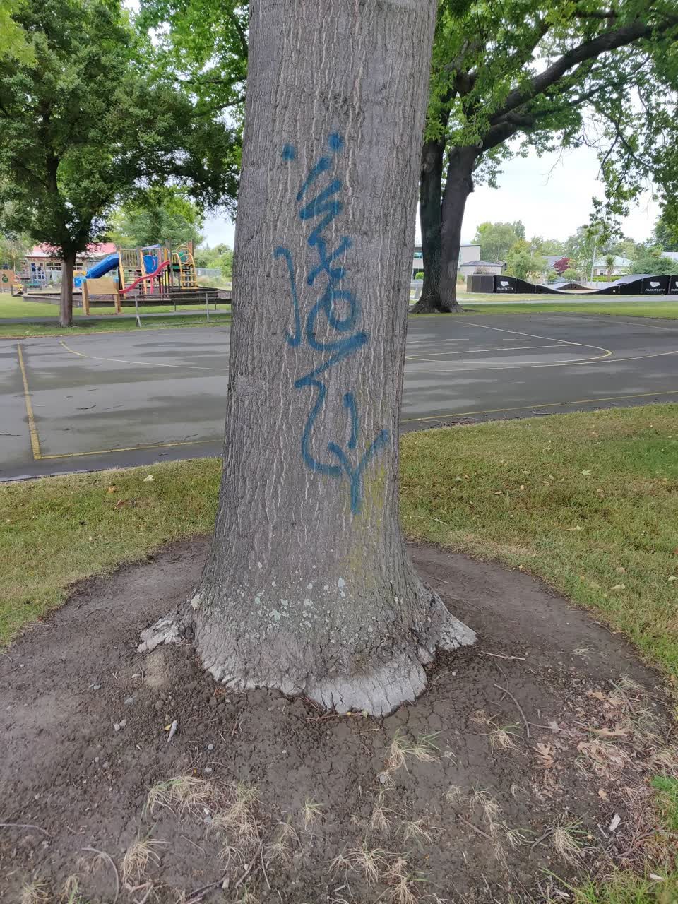 The photograph attached to this graffiti report