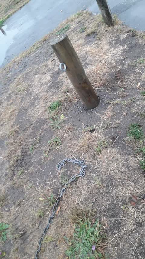 Parks, a report photo