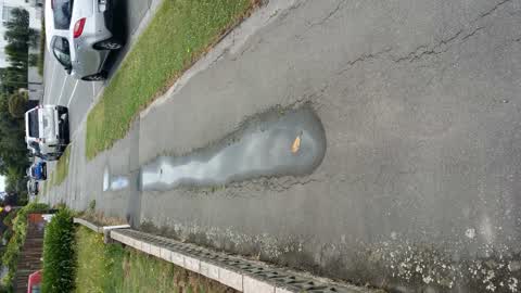 Roading/Streets, a report photo