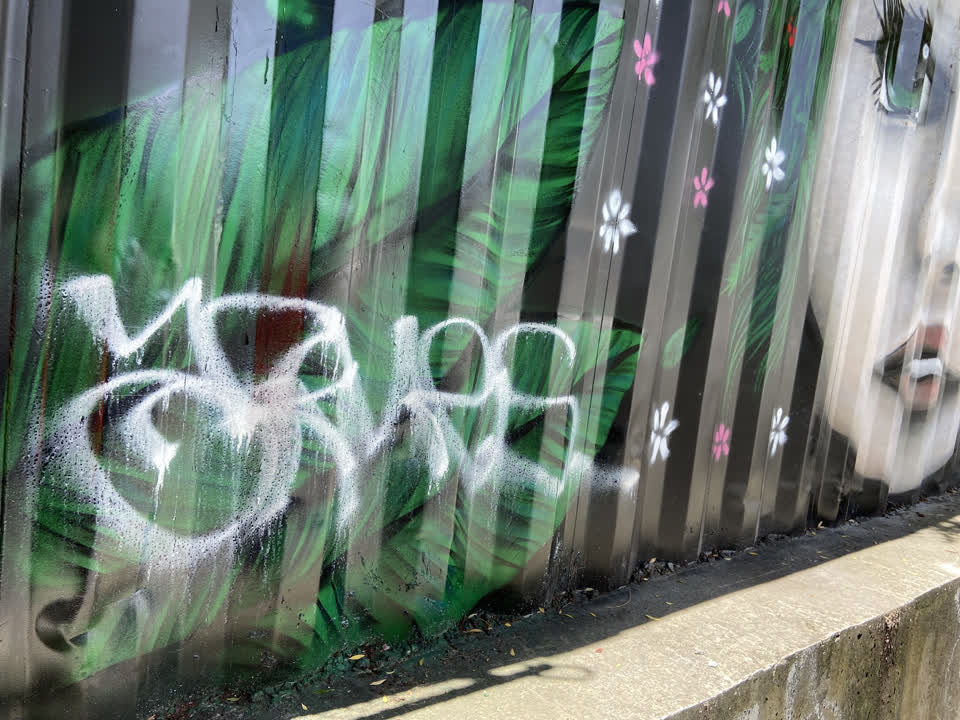 The photograph attached to this graffiti report