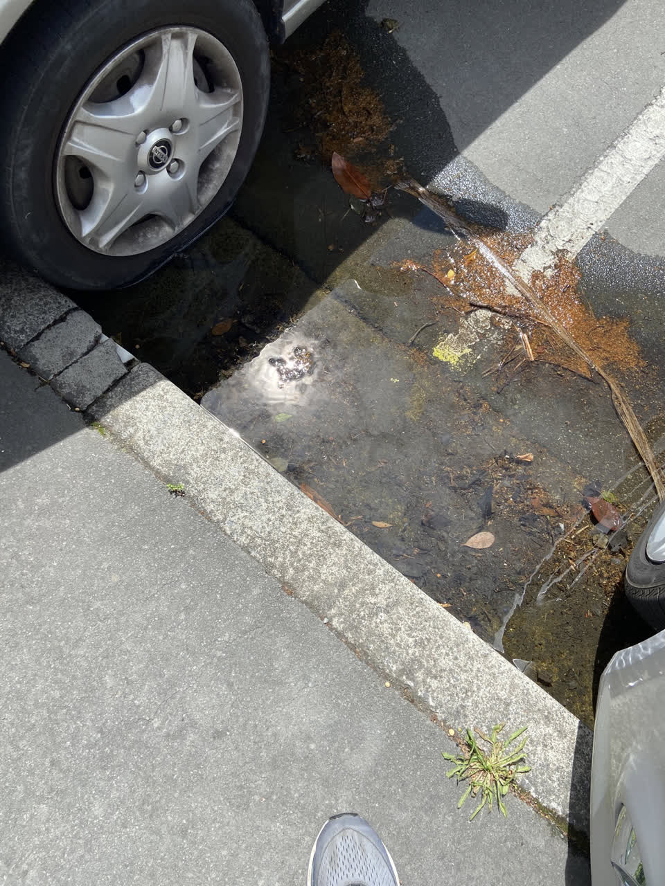 The photograph attached to this water leak report