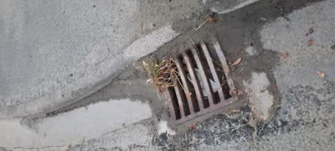 Wastewater/Stormwater, a report photo