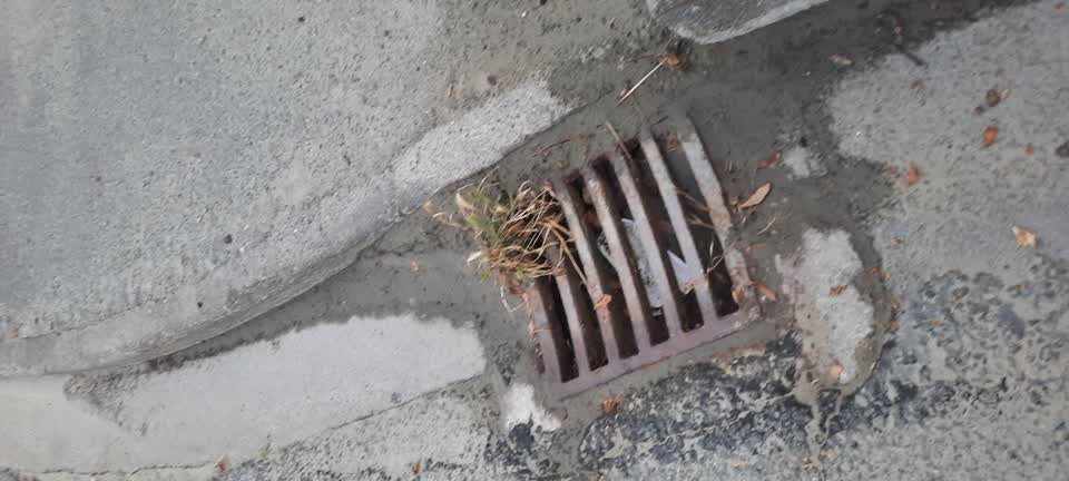 The photograph attached to this wastewater/stormwater report