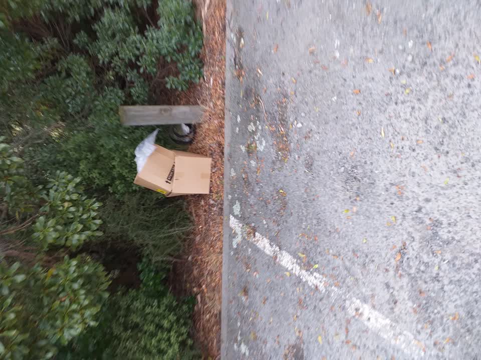 The photograph attached to this rubbish/recycling report