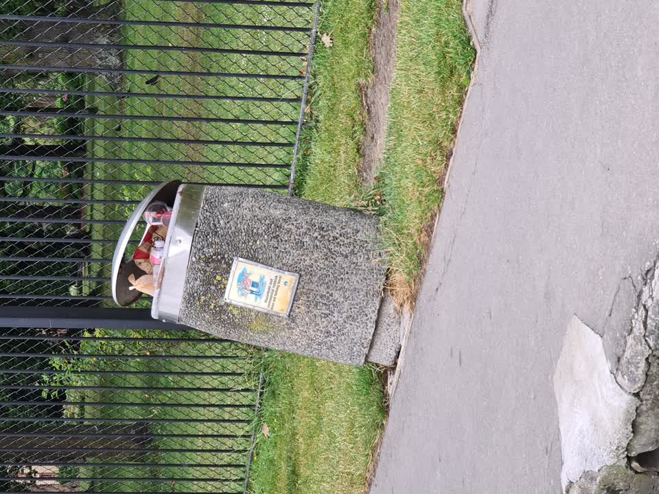 The photograph attached to this rubbish/recycling report