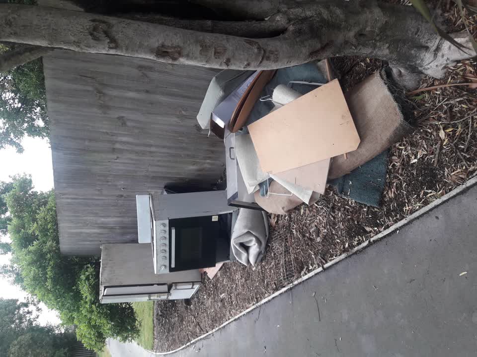 The photograph attached to this parks report