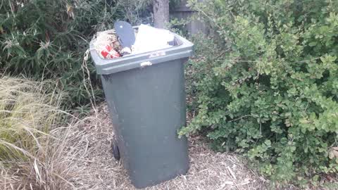 Parks, a report photo