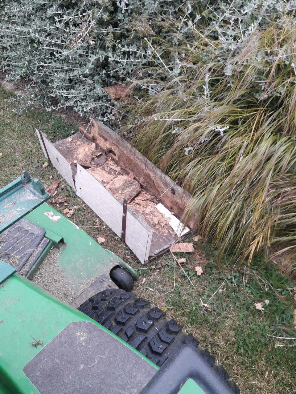 The photograph attached to this parks report
