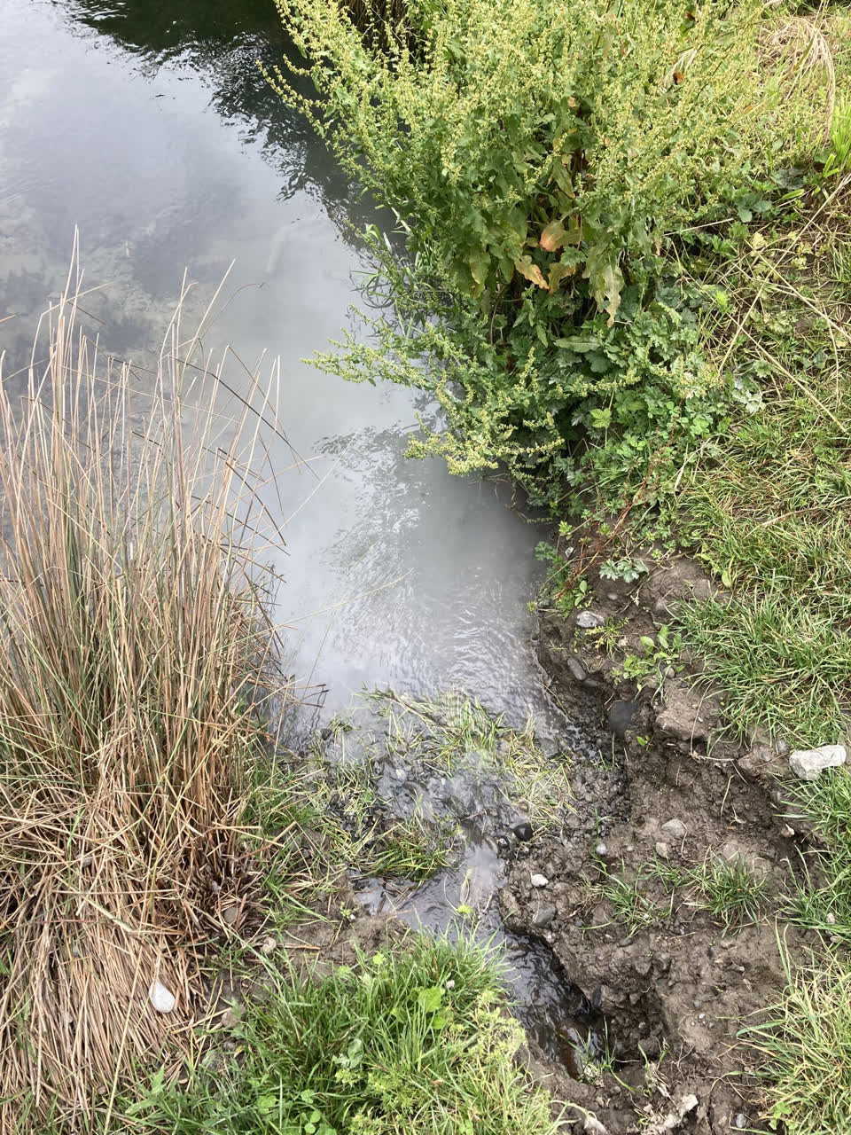 The photograph attached to this wastewater/stormwater report
