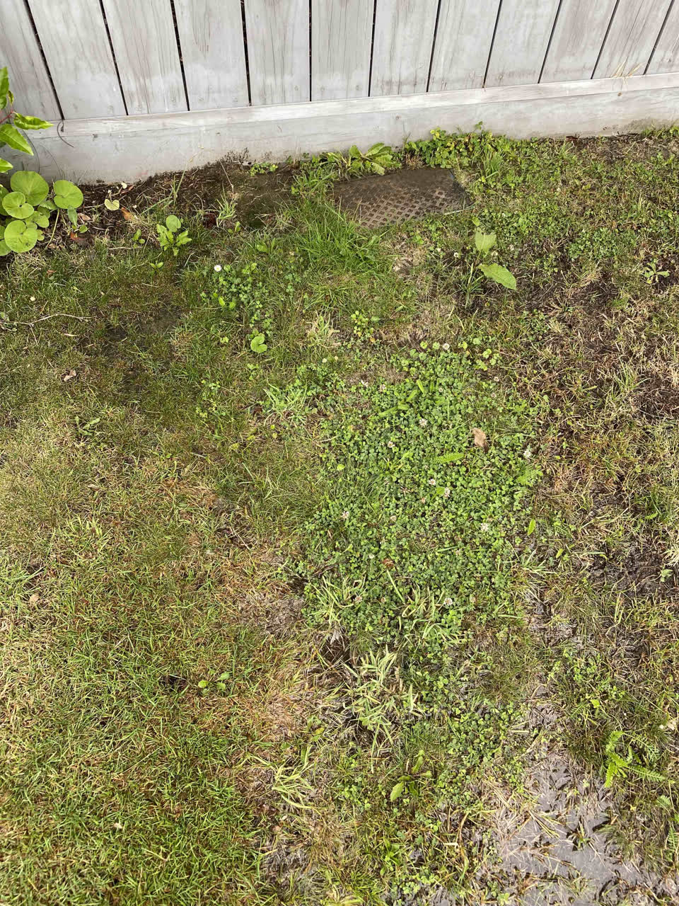 The photograph attached to this water supply report