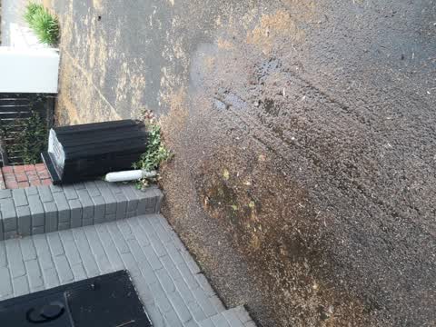 Water Leak, a report photo