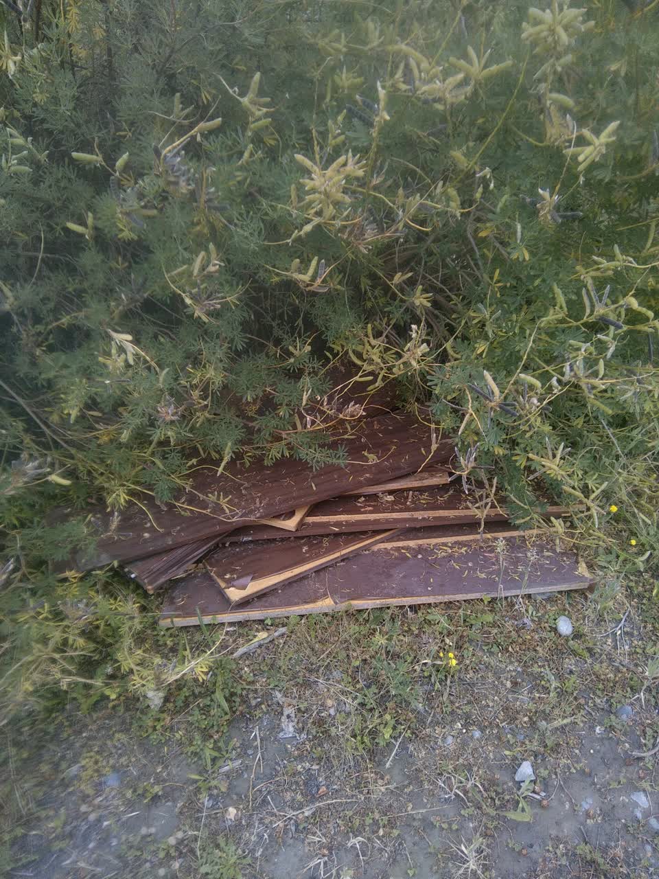 The photograph attached to this rubbish/recycling report