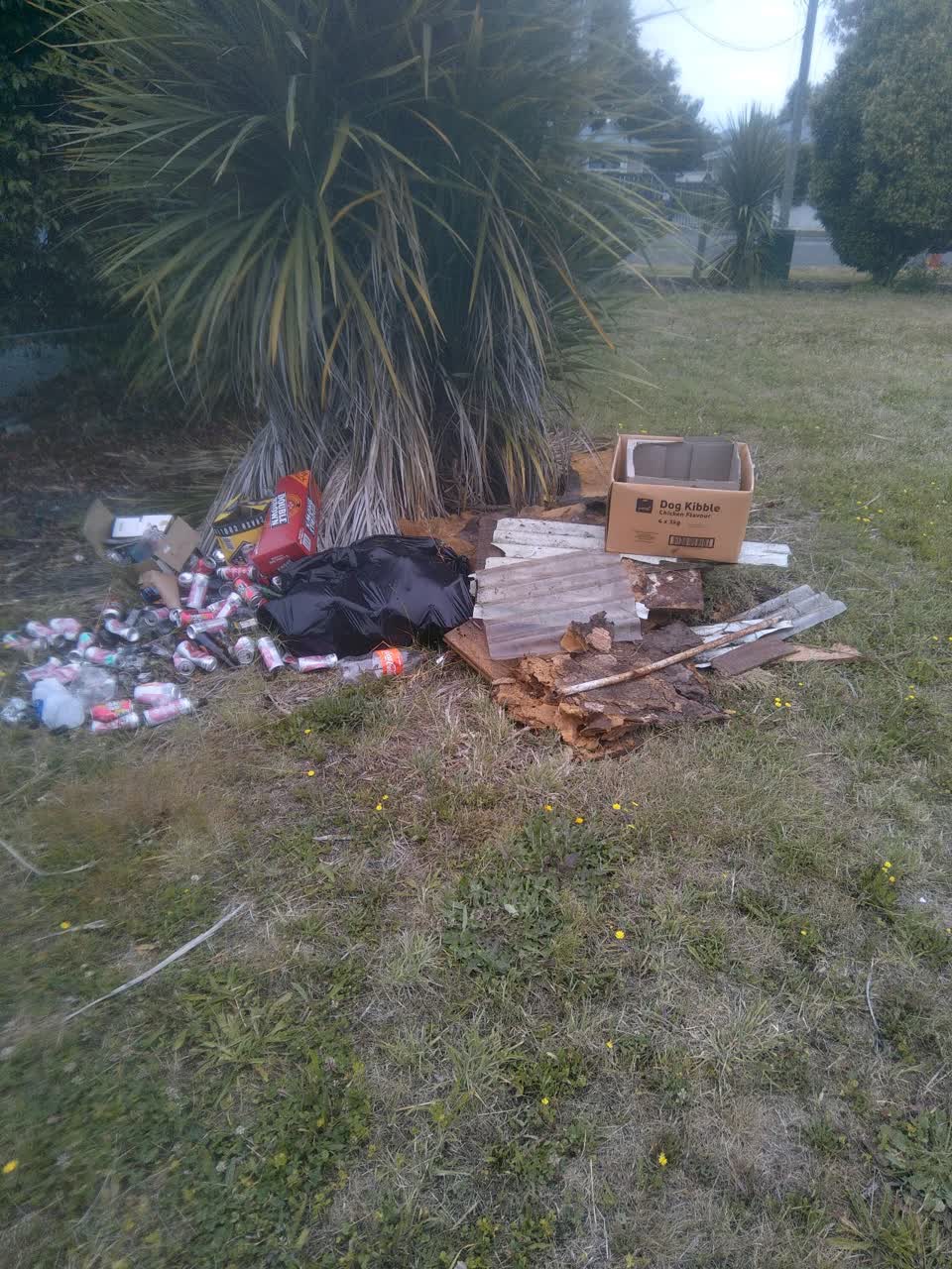The photograph attached to this rubbish/recycling report