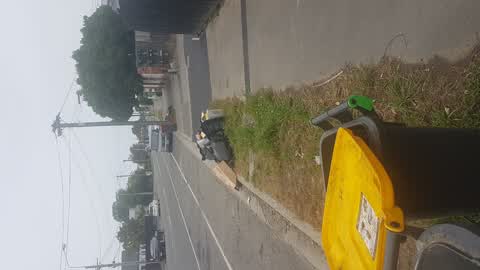 Rubbish/Recycling, a report photo