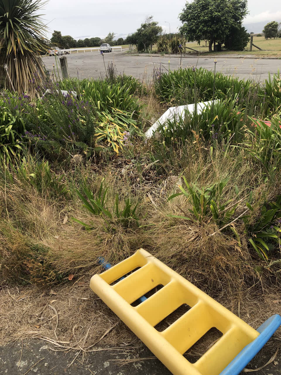 The photograph attached to this parks report