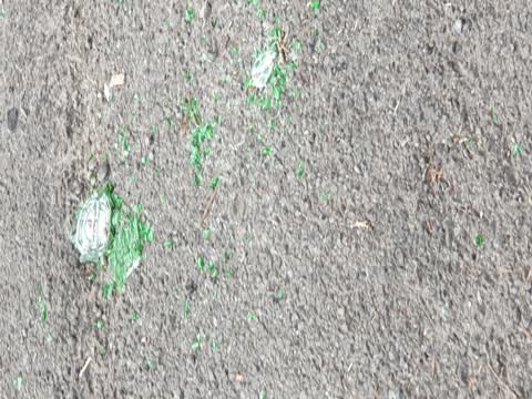 Rubbish/Recycling, a report photo
