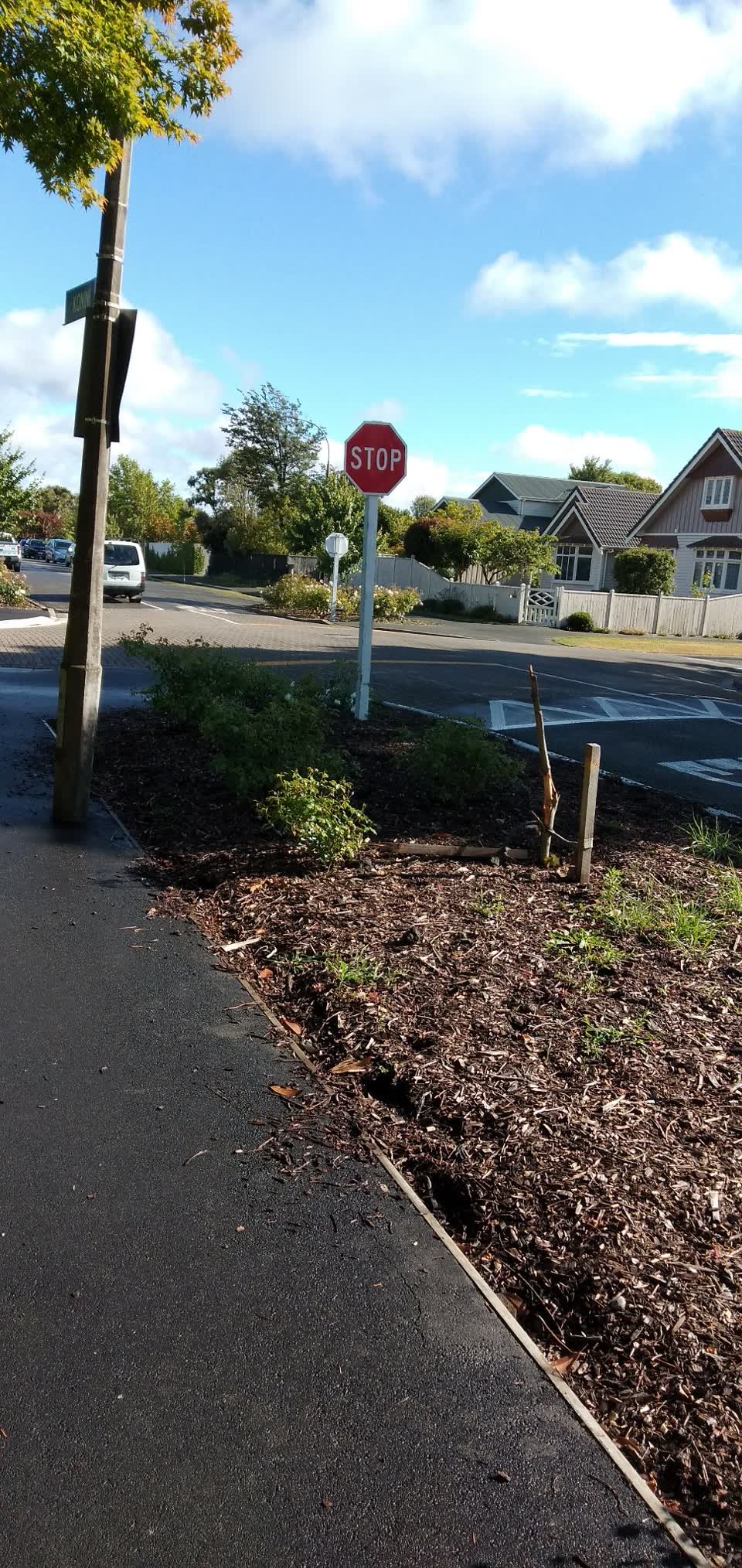 The photograph attached to this parks report