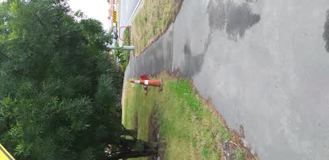 Roading/Streets, a report photo