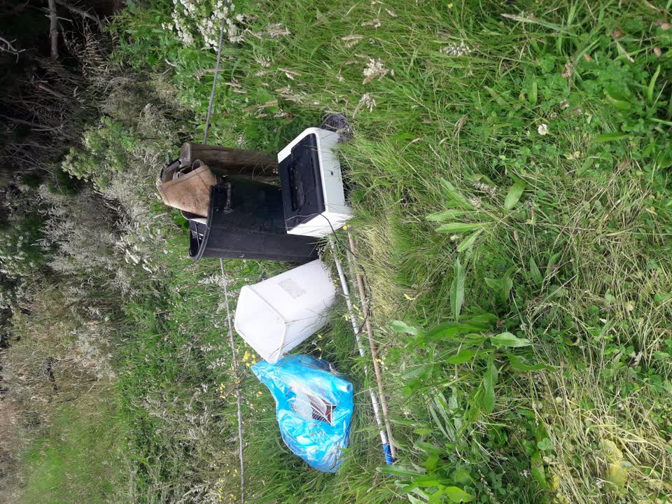 The photograph attached to this parks report