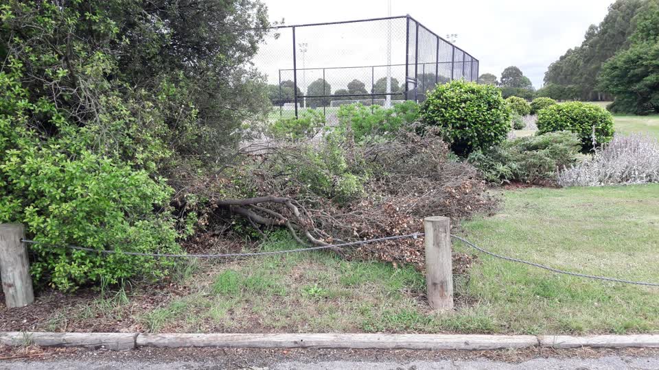 The photograph attached to this parks report