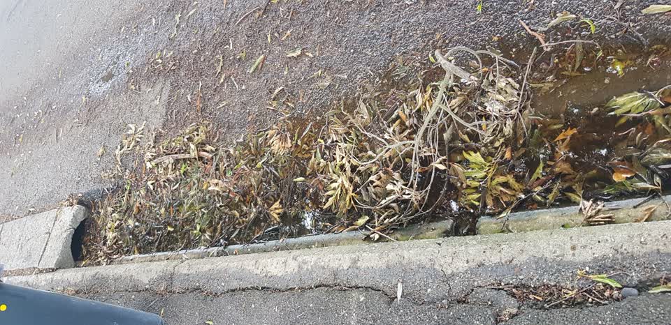 The photograph attached to this flooding report
