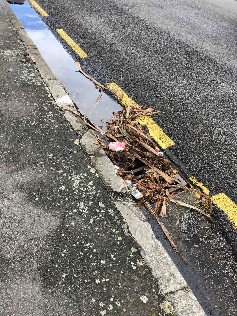 The photograph attached to this wastewater/stormwater report