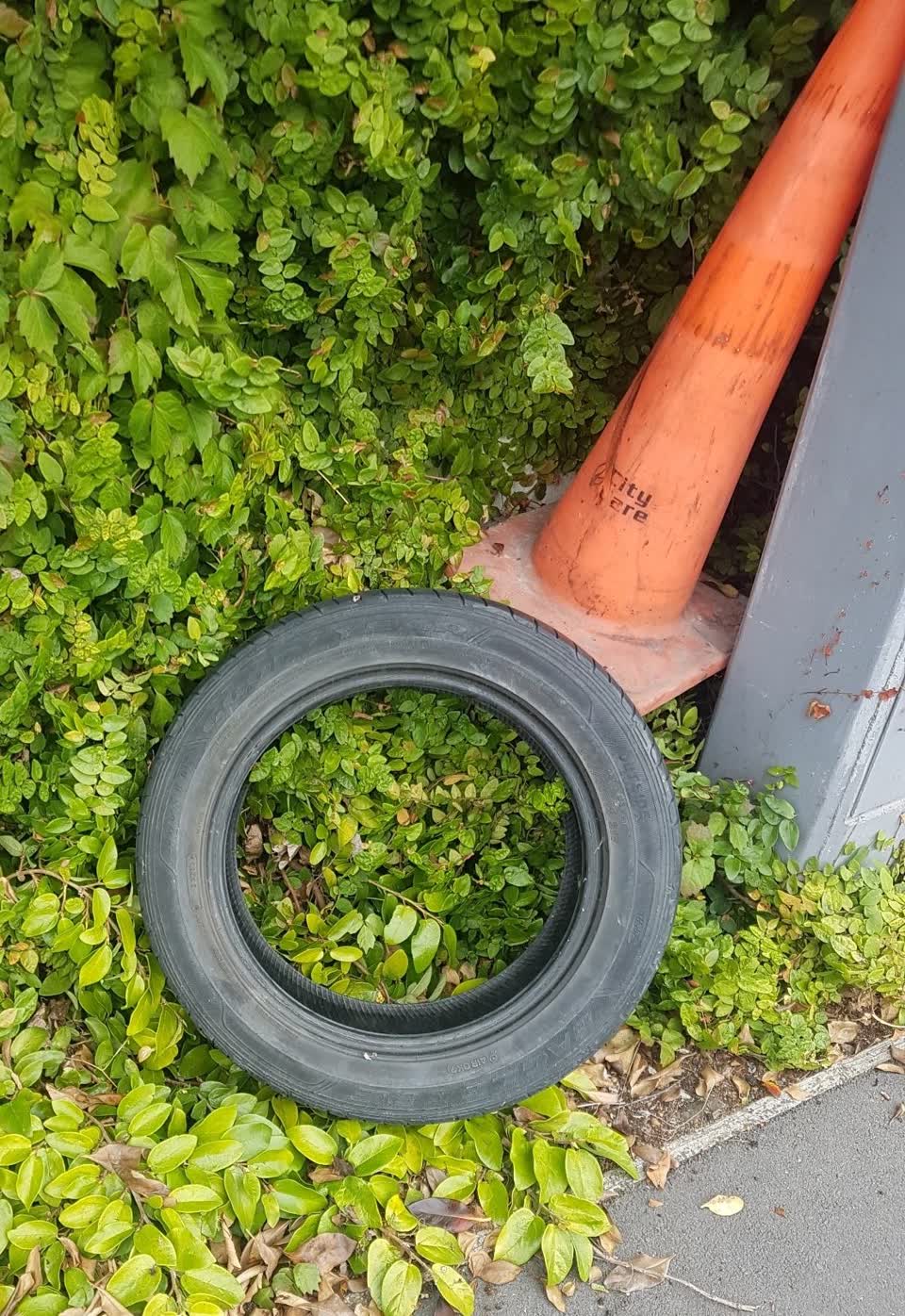The photograph attached to this rubbish/recycling report