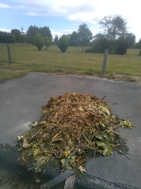 Rubbish/Recycling — a report photo