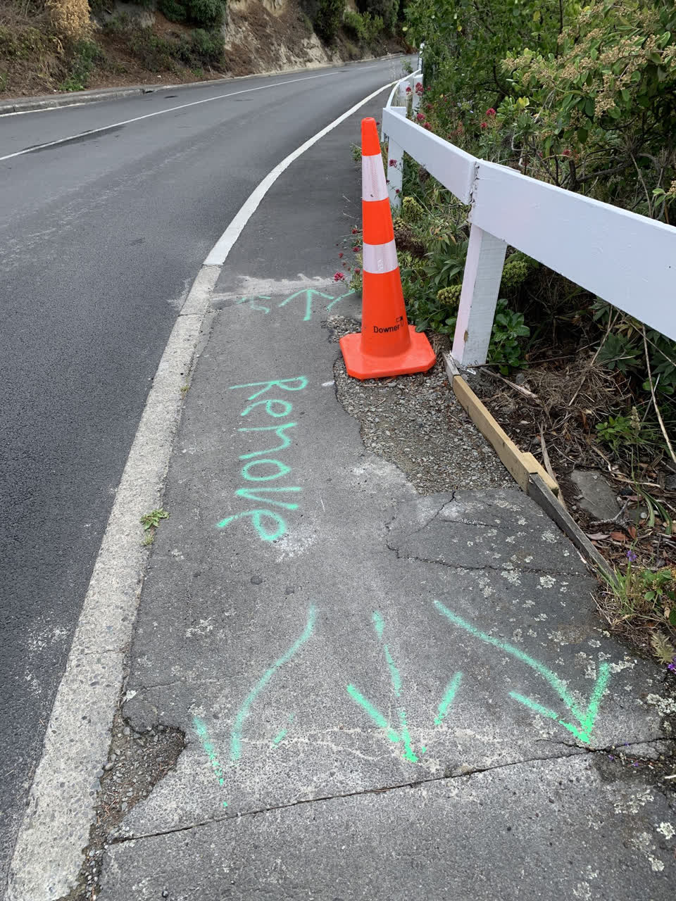 The photograph attached to this roading/streets report