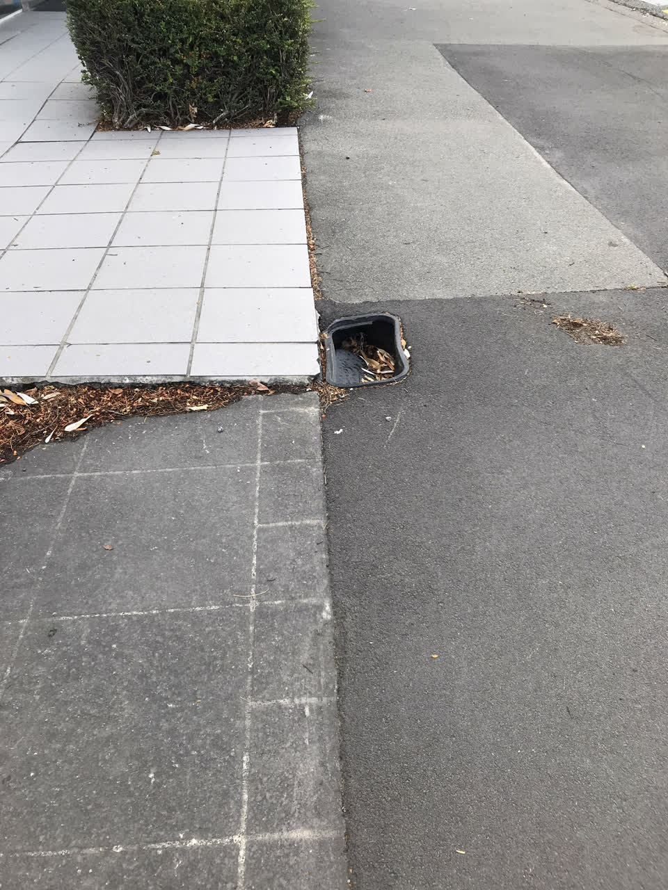 The photograph attached to this street light outage report