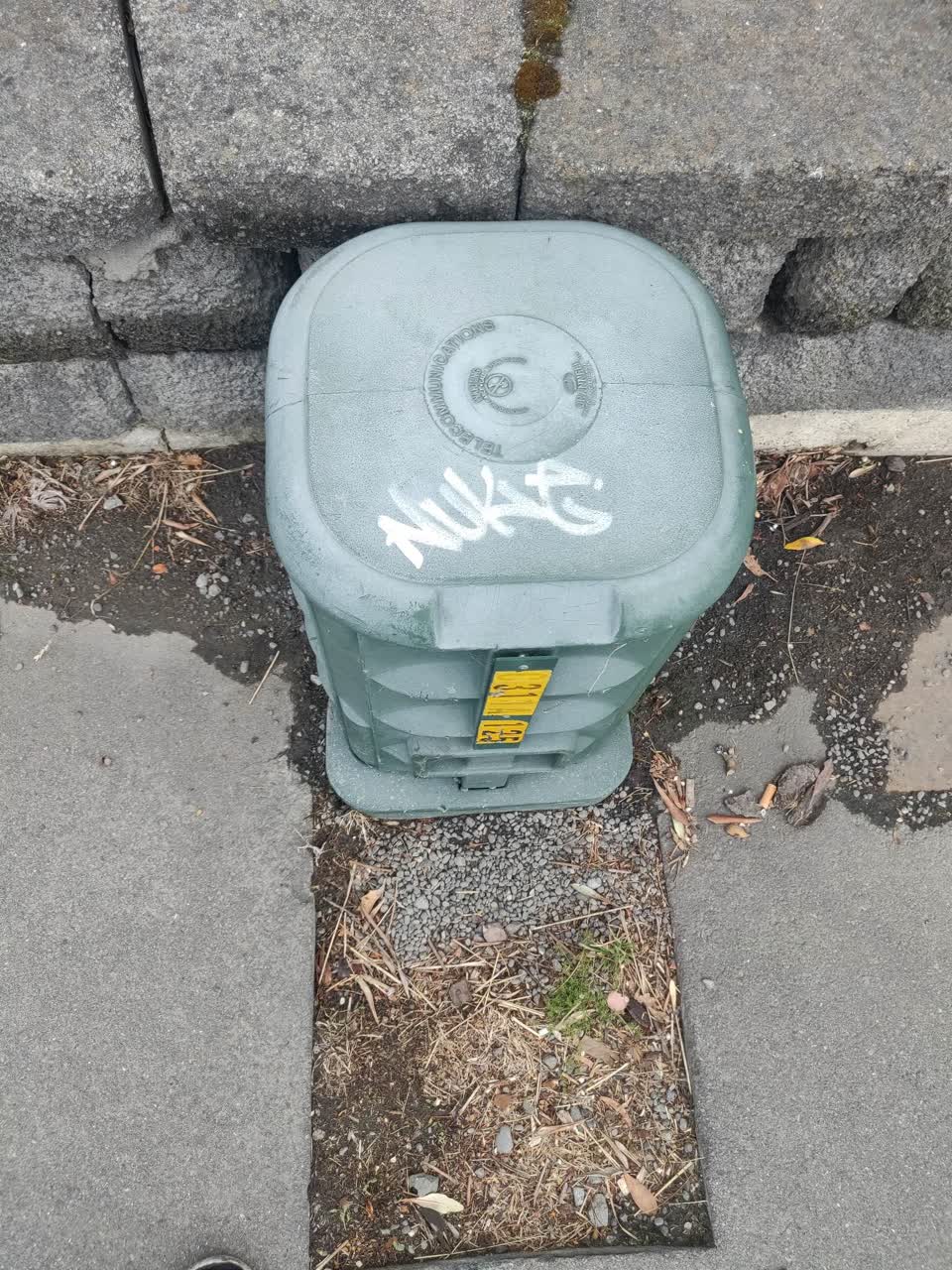 The photograph attached to this graffiti report