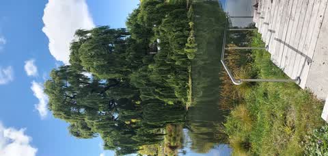 Parks, a report photo