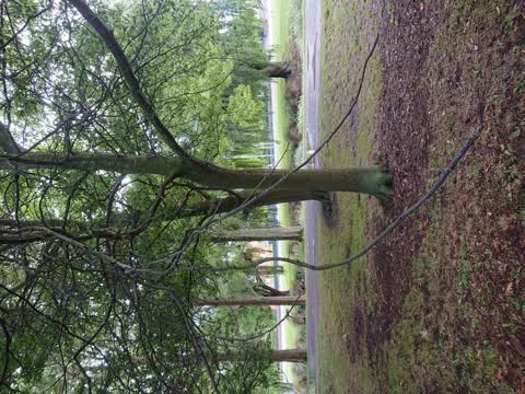 Parks, a report photo