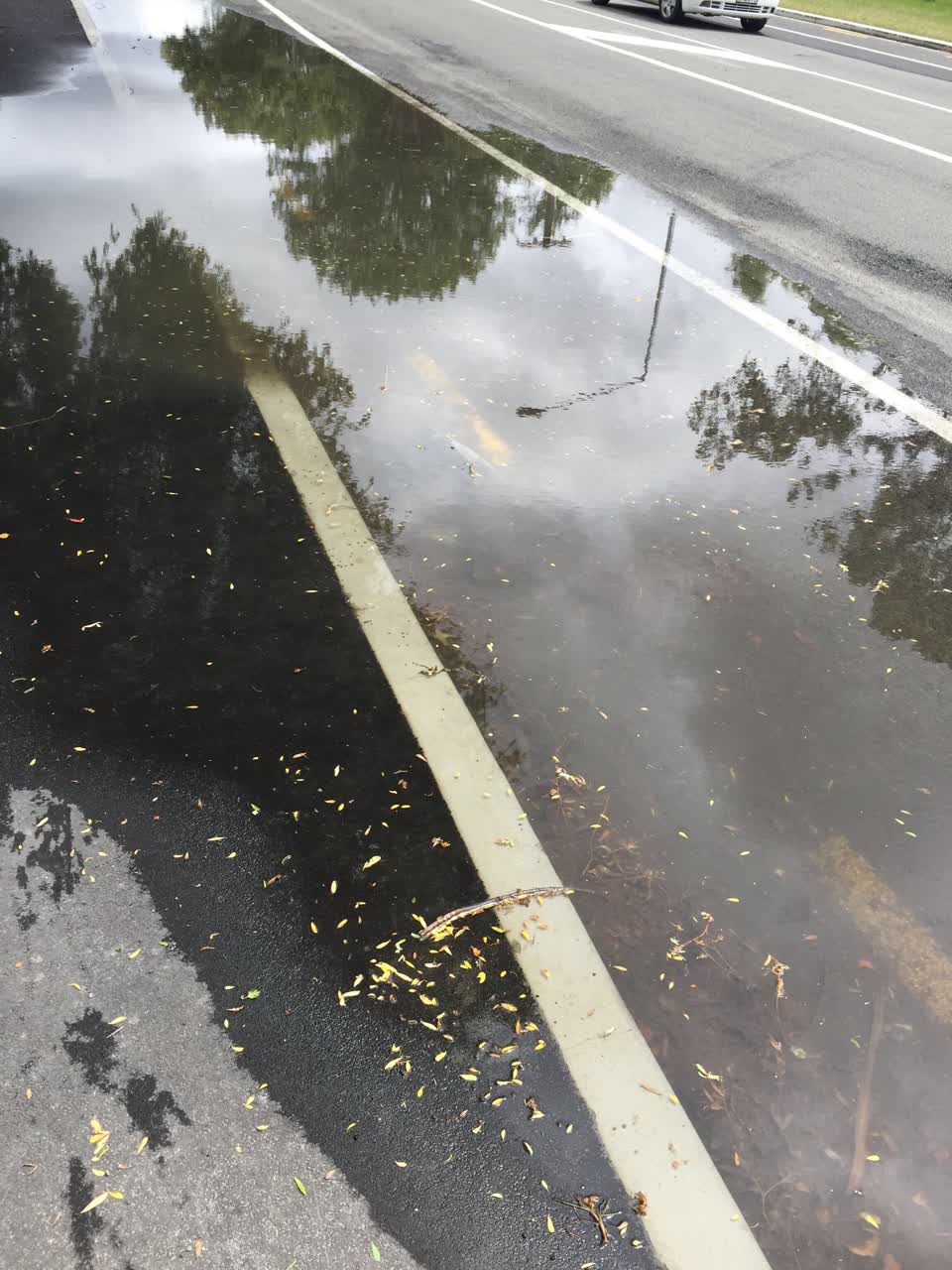 The photograph attached to this flooding report