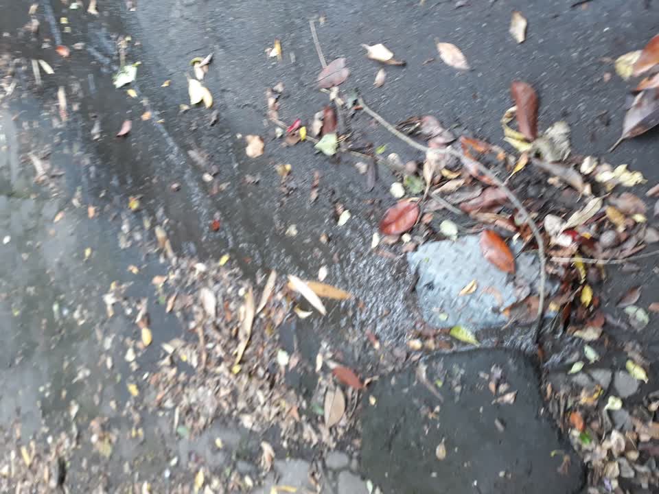 The photograph attached to this water leak report