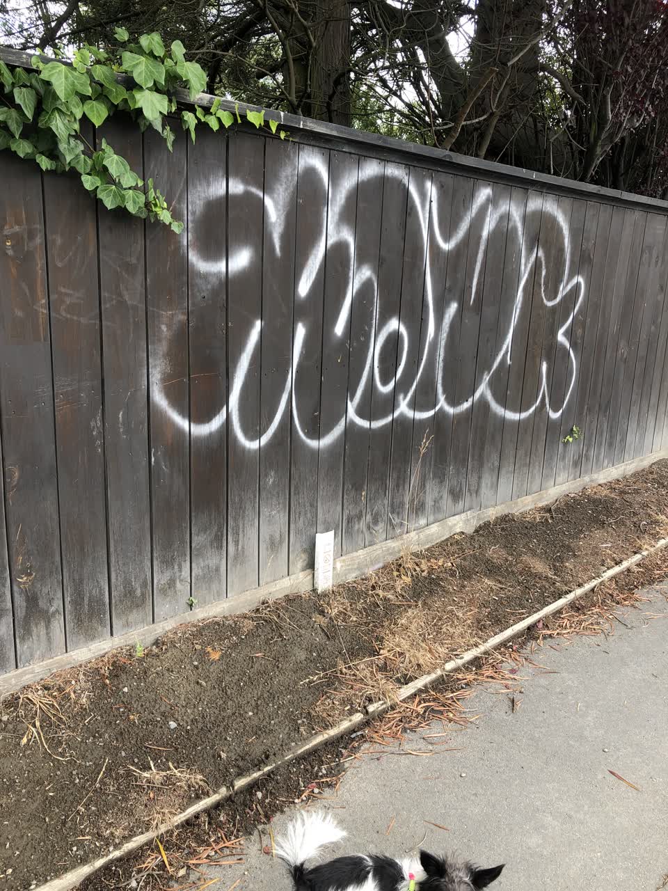 The photograph attached to this graffiti report