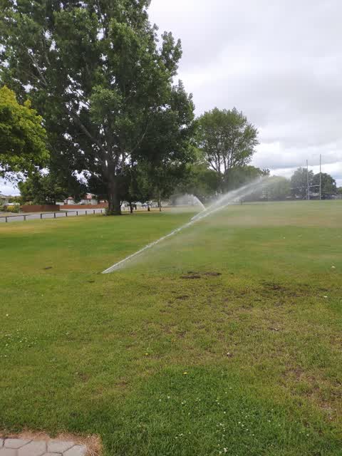 Parks, a report photo